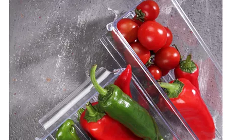 2 NO ÇOK AMAÇLI ORGANİZER